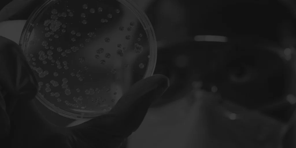 Contaminação Cruzada na Indústria Farmacêutica: Onde estão os principais riscos no seu sistema?